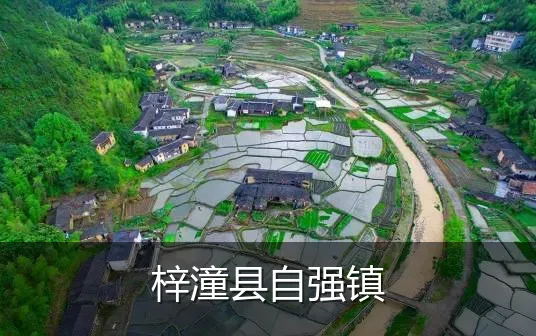 梓潼县自强镇